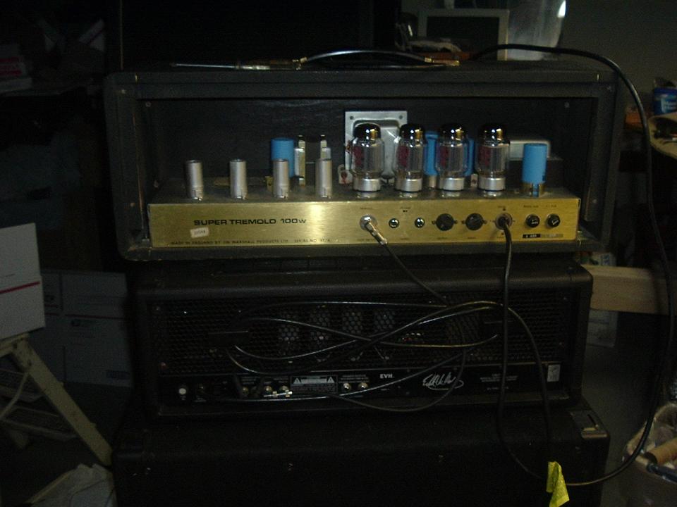 RedBearCabb 008_resize.JPG